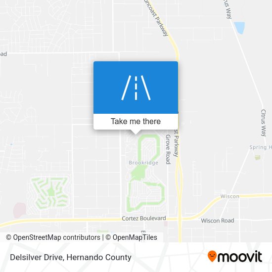 Delsilver Drive map