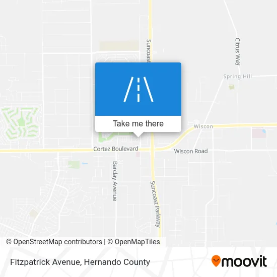 Fitzpatrick Avenue map