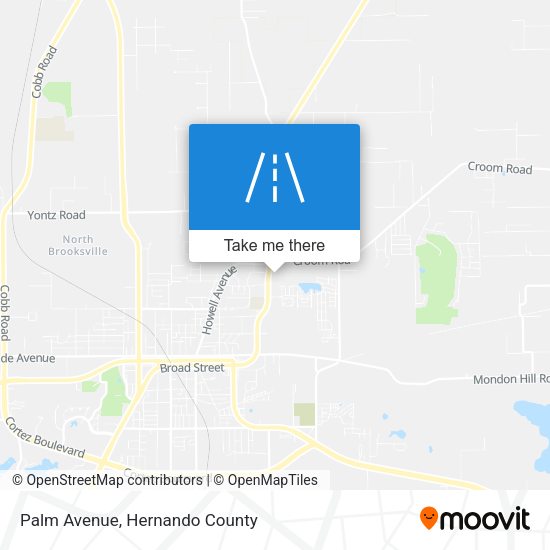 Mapa de Palm Avenue