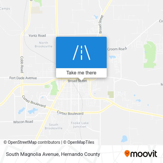 South Magnolia Avenue map