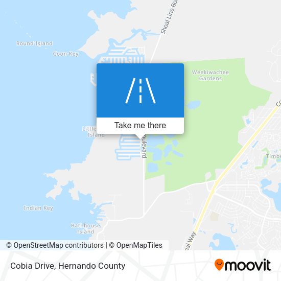 Mapa de Cobia Drive