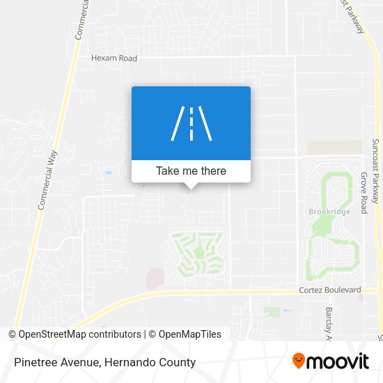 Pinetree Avenue map
