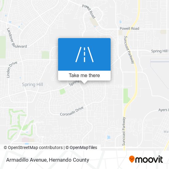 Armadillo Avenue map