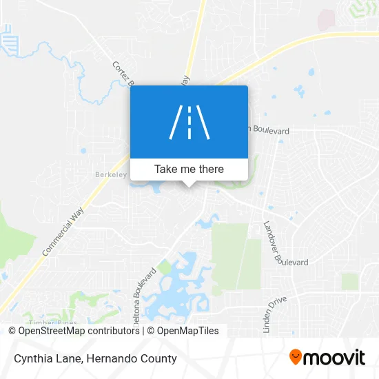 Cynthia Lane map