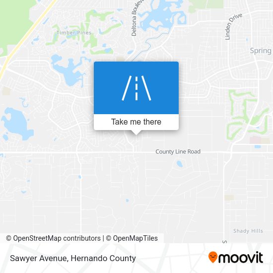 Sawyer Avenue map