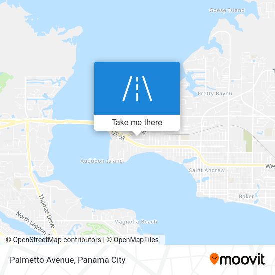 Mapa de Palmetto Avenue