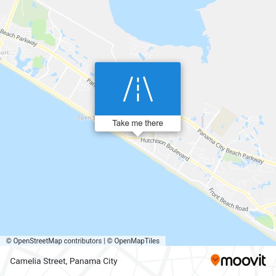 Camelia Street map