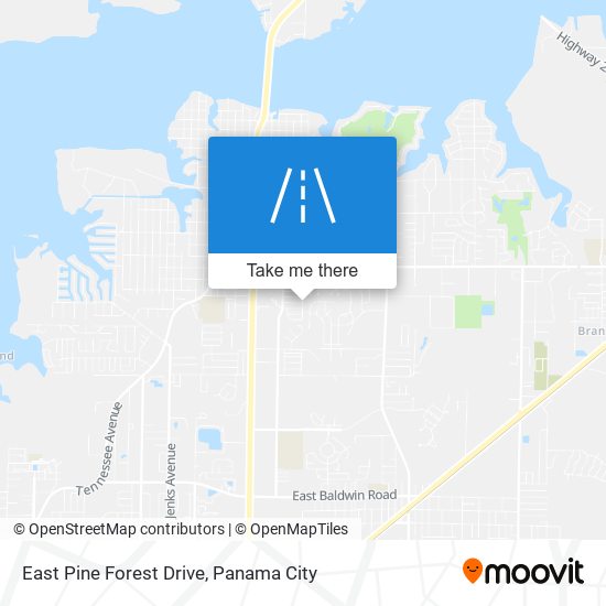 Mapa de East Pine Forest Drive