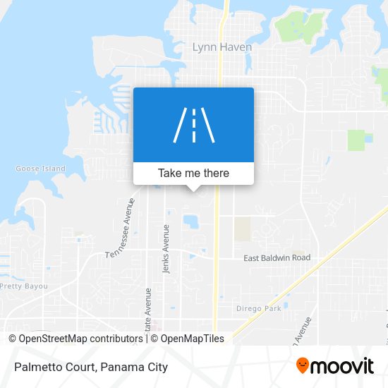 Mapa de Palmetto Court