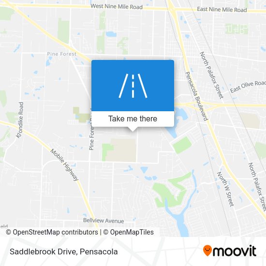 Saddlebrook Drive map