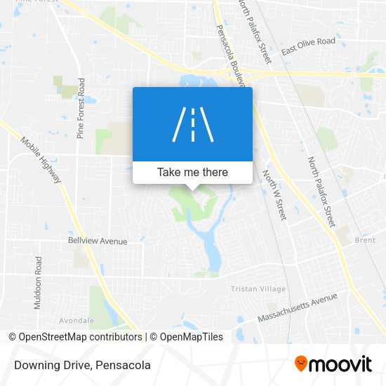 Mapa de Downing Drive