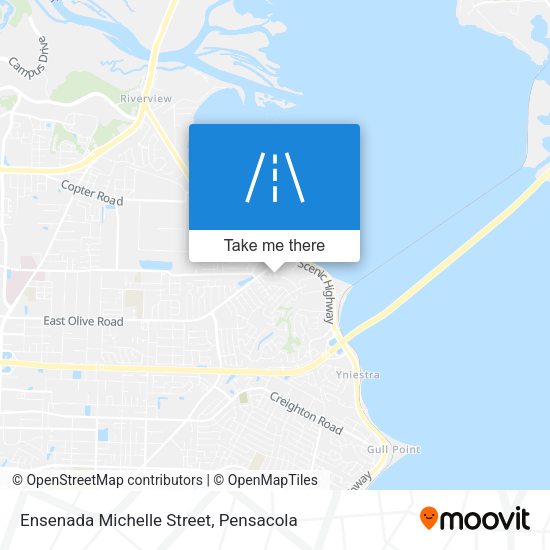 Ensenada Michelle Street map