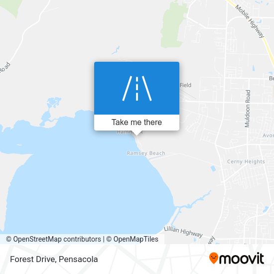 Mapa de Forest Drive