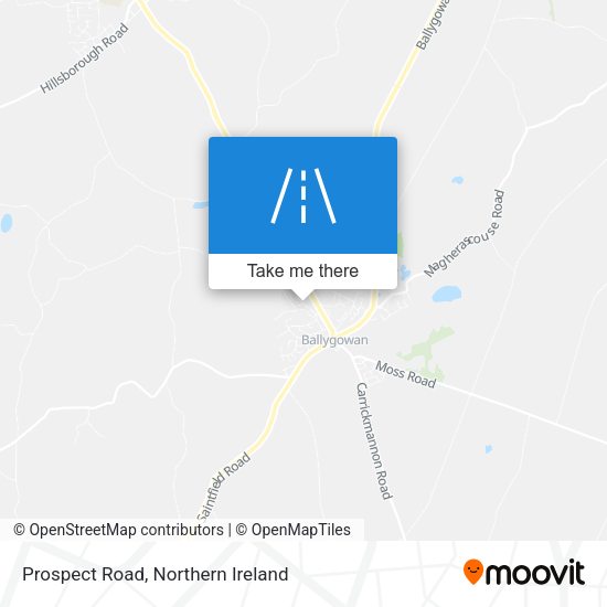 Prospect Road map