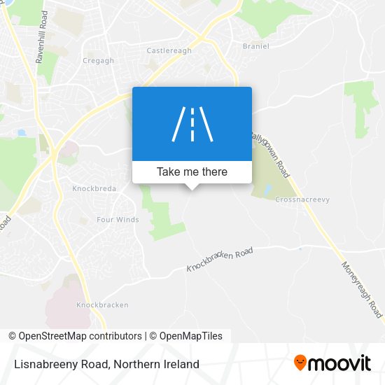 Lisnabreeny Road map