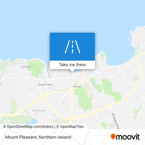 Mount Pleasant map