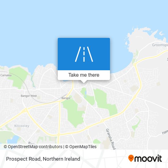 Prospect Road map