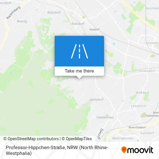 Professor-Hippchen-Straße map