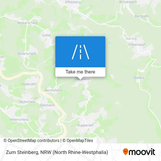 Zum Steinberg map