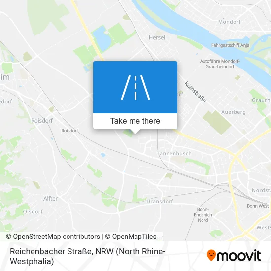 Reichenbacher Straße map
