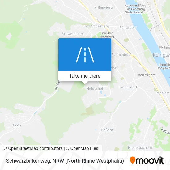 Карта Schwarzbirkenweg