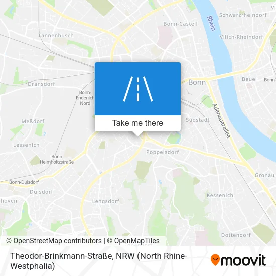 Карта Theodor-Brinkmann-Straße