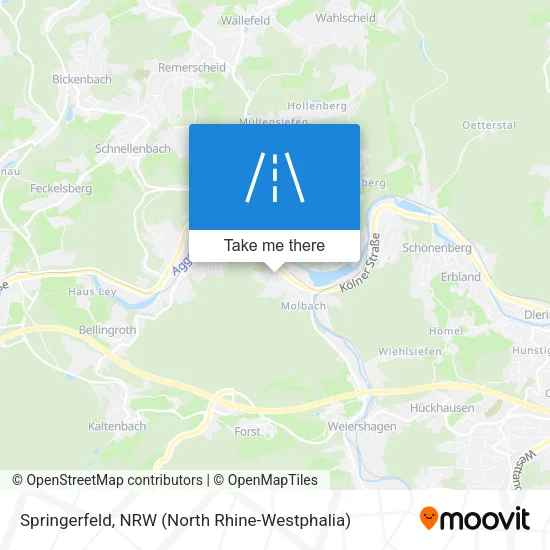 Карта Springerfeld
