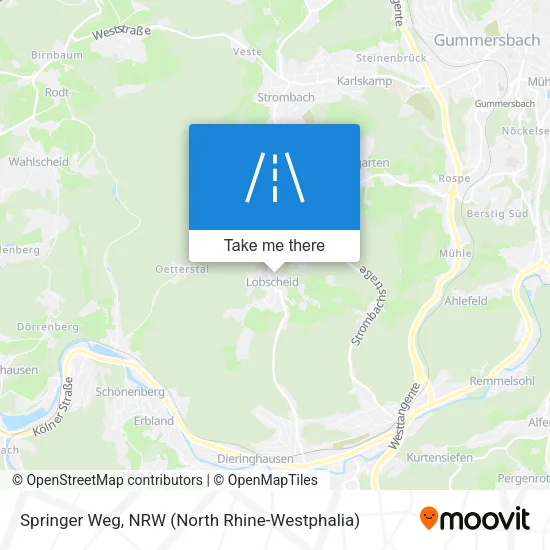 Карта Springer Weg