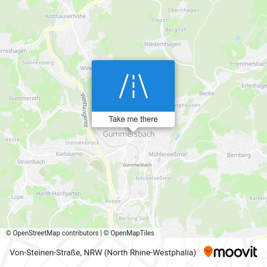 Von-Steinen-Straße map