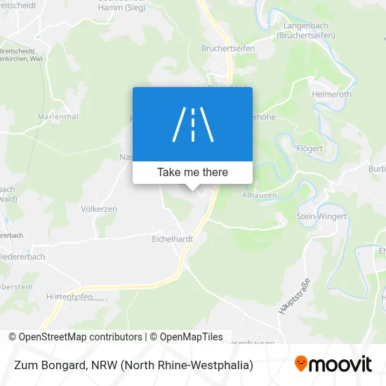 Zum Bongard map