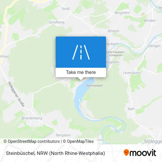 Steinbüschel map