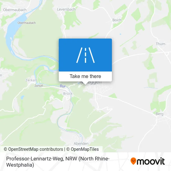 Карта Professor-Lennartz-Weg