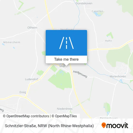 Schnitzler-Straße map