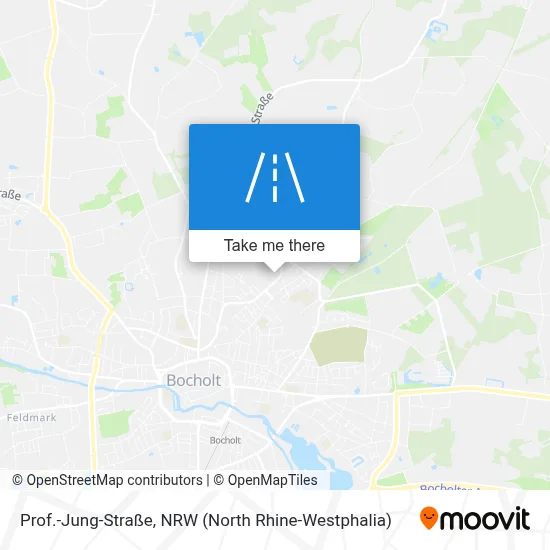 Prof.-Jung-Straße map