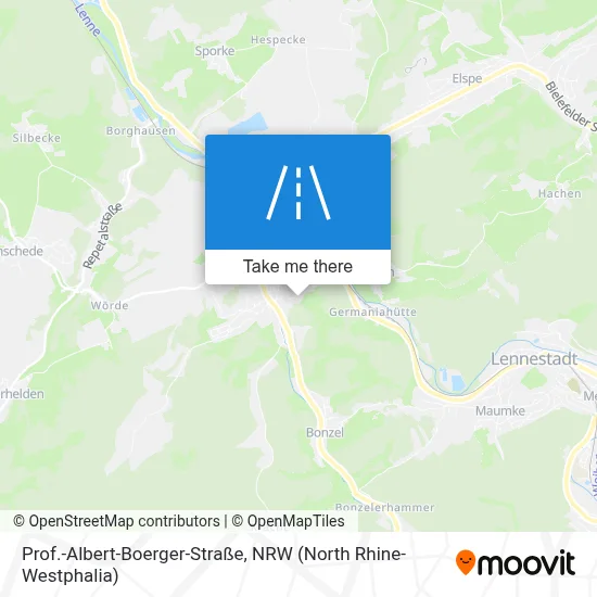 Prof.-Albert-Boerger-Straße map