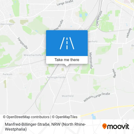 Manfred-Billinger-Straße map