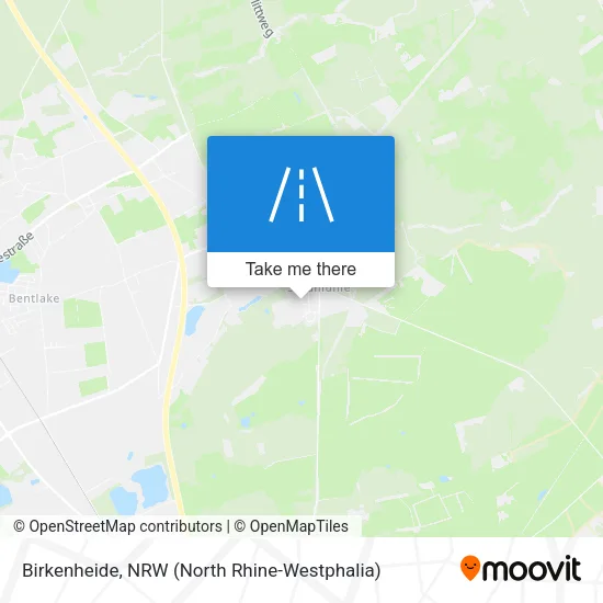 Карта Birkenheide