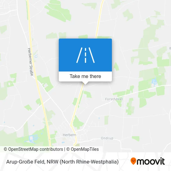 Arup-Große Feld map