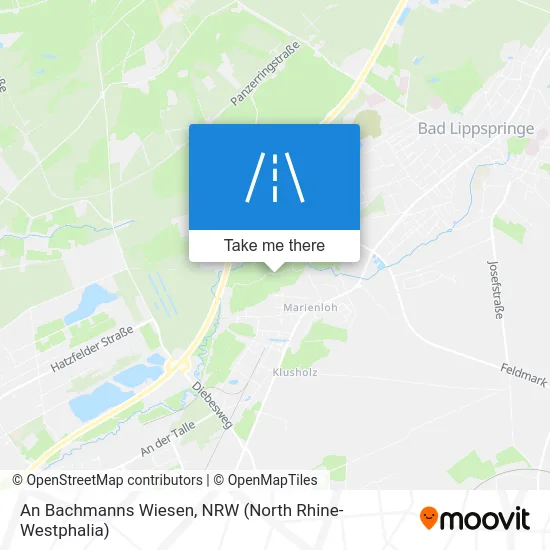 Карта An Bachmanns Wiesen