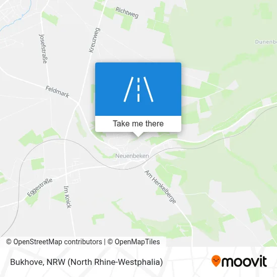Bukhove map