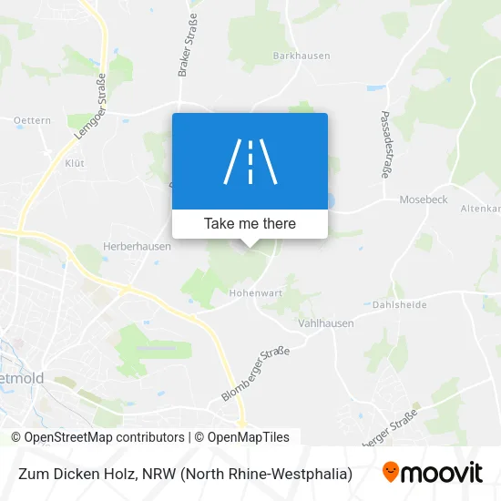 Zum Dicken Holz map