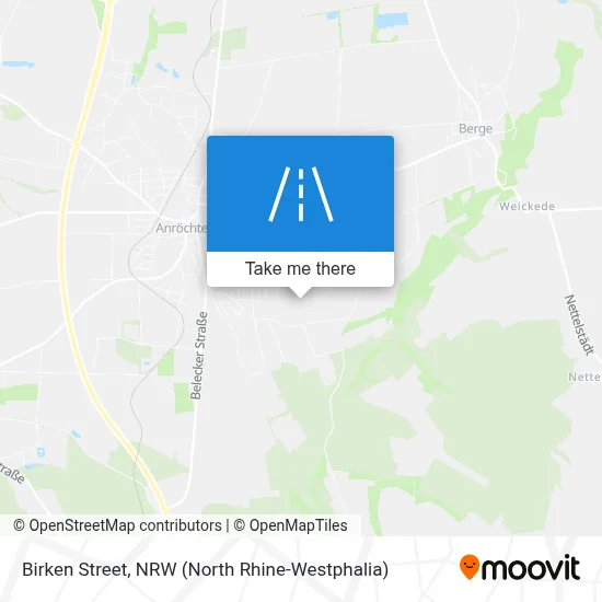Birkenstraße map