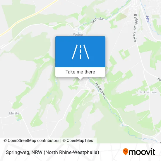 Карта Springweg