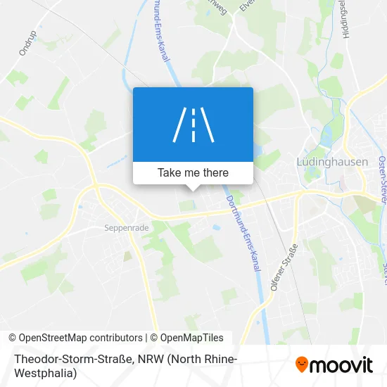 Карта Theodor-Storm-Straße