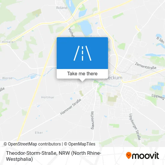 Карта Theodor-Storm-Straße