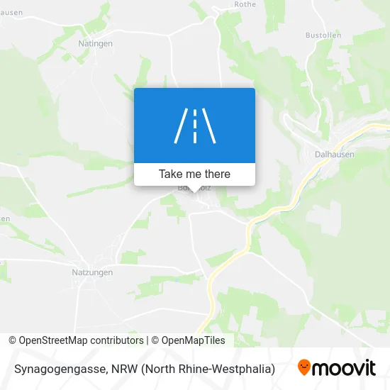 Карта Synagogengasse