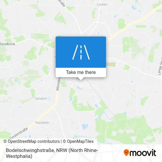 Карта Bodelschwinghstraße