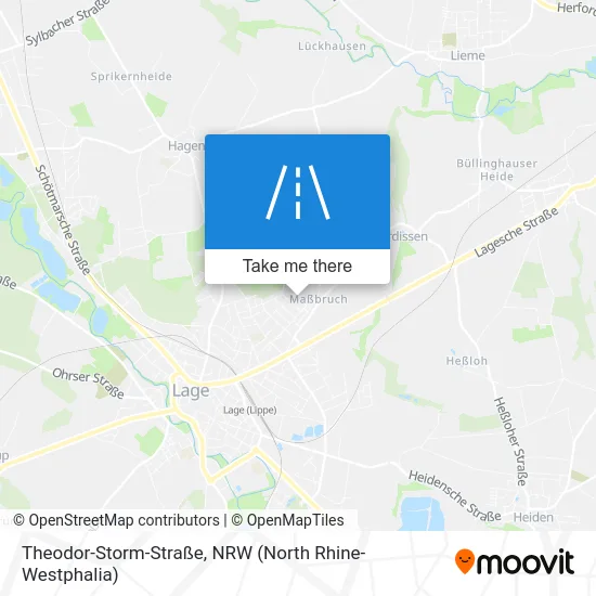 Карта Theodor-Storm-Straße