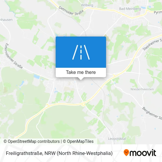 Карта Freiligrathstraße