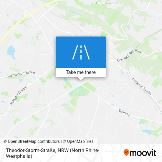 Карта Theodor-Storm-Straße